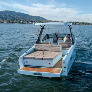 gasoline day cruiser 1