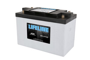 2 V marine battery