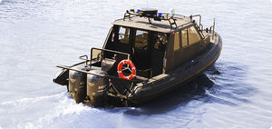sightseeing boat