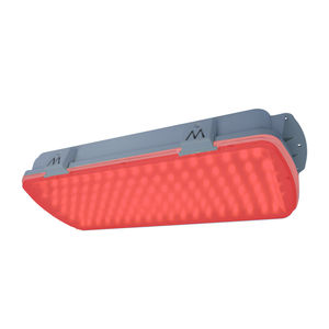 outdoor ceiling light