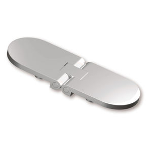 flush hinge