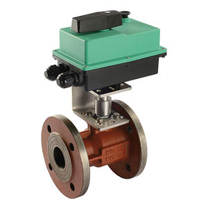ball valve 1