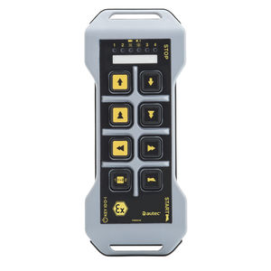 gantry crane remote control