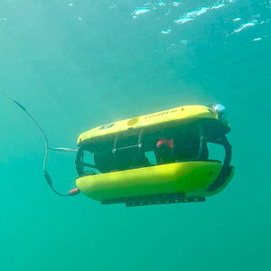 observation ROV