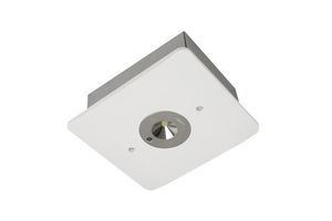 emergency ceiling light