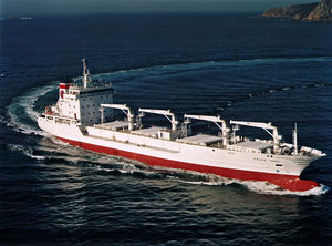 reefer cargo ship