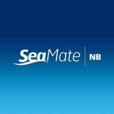 professional vessel antifouling coating