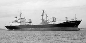 bulk carrier cargo ship 1