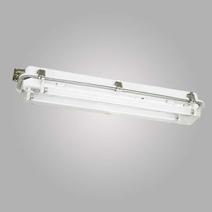 outdoor ceiling light