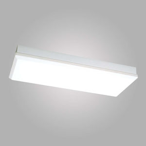 indoor ceiling light