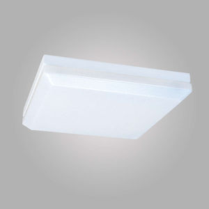 indoor ceiling light