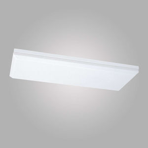 indoor ceiling light 1