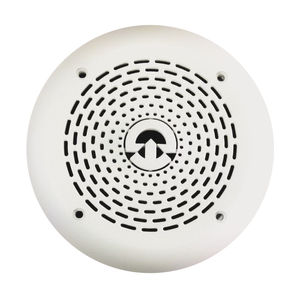 boat speaker 1