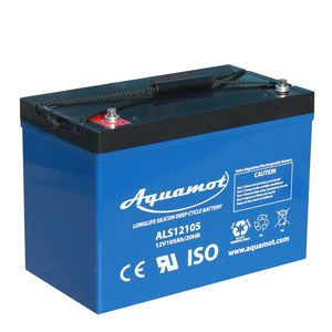 12 V deep-cycle battery