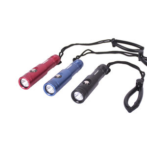 LED dive light