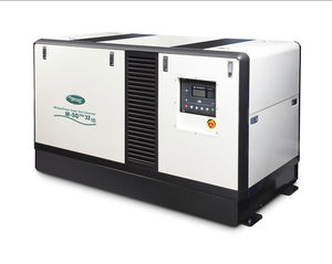 diesel generator set