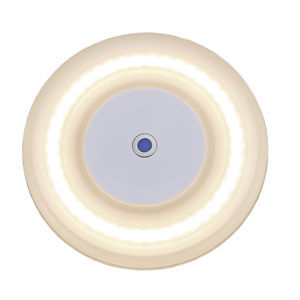 indoor ceiling light