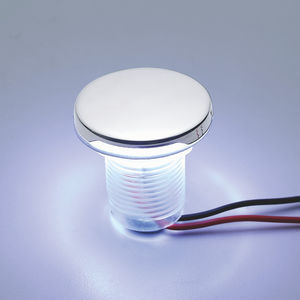 courtesy light