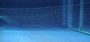 trawl net