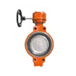 butterfly valve