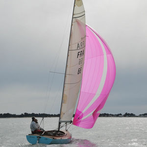 monohull / classic / dayboat / open transom