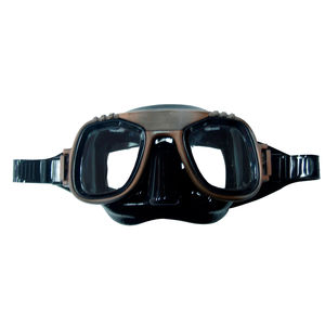 dual-lens dive mask