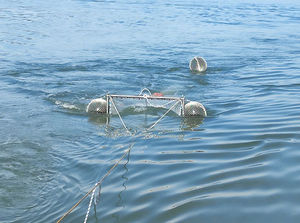 trawl net