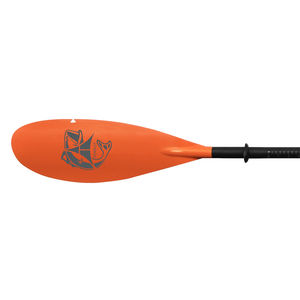 kayak paddle