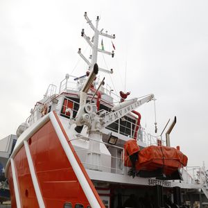 rescue boat davit