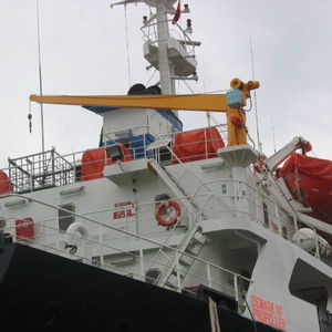 boom crane 1