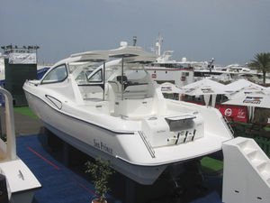 inboard express cruiser