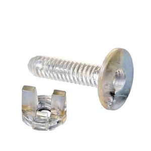polycarbonate screw