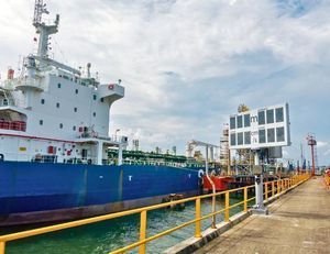 terminal assisted docking system 1