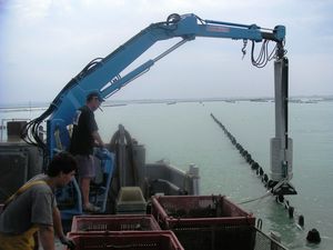 ship crane