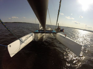 foiling sport catamaran