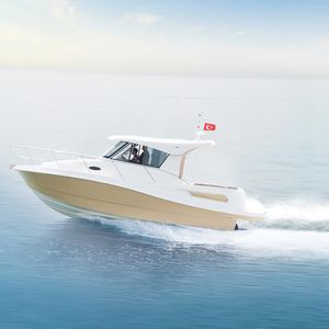inboard cabin cruiser / hard-top / 7-person max. / 4-berth