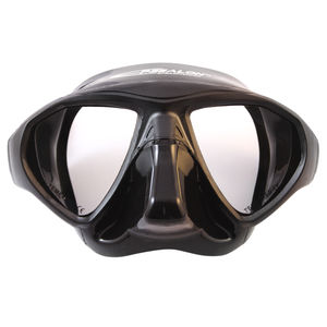 dual-lens dive mask