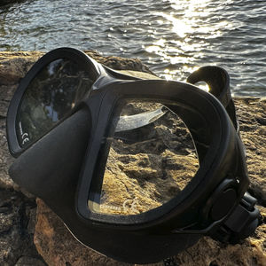 dual-lens dive mask