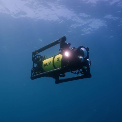 Inspection ROV - Boxfish  - Boxfish Research