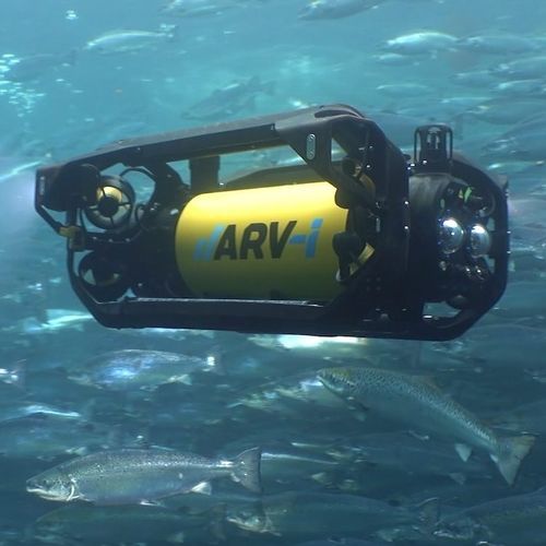 Inspection ROV - ARV-i - Boxfish Research