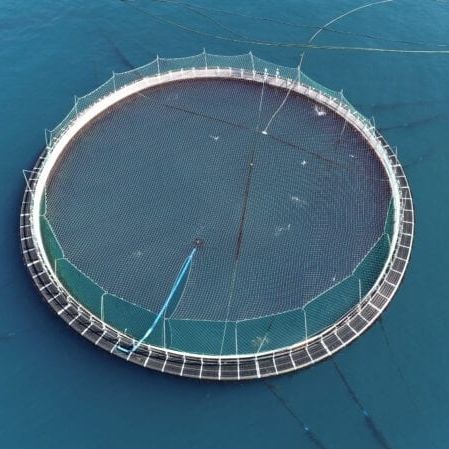 Automatic mooring system - Vónin