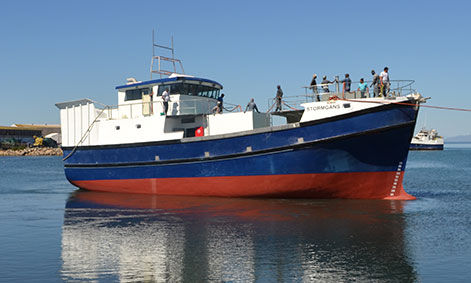 Fishing trawler - STORMGANS - Sachal Shipyard