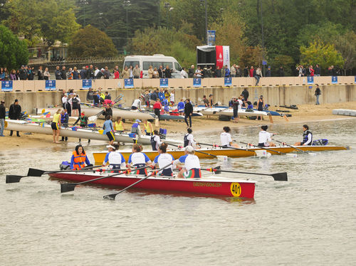 Recreational rowing boat - Y 35 club  - Rowing Sport  boats - quadruple scull / with coxswain
