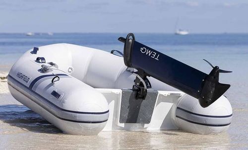 Propulsion engine - 1000 - Temo - outboard / gasoline / electric