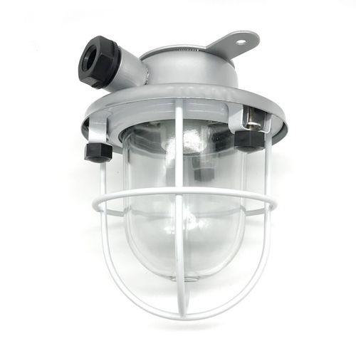 Outdoor ceiling light - CCD1-2 - Zhejiang Bozhou Marine Electric Technology Co., Ltd. - for ships / cabin / cockpit