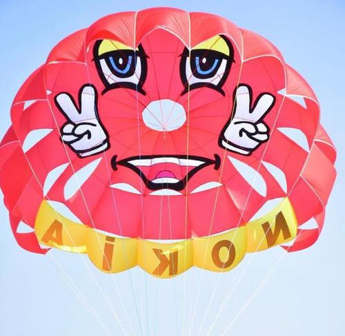 Custom-made parasail - RP39 FT JUPITER - Risus Parasails - for high winds / for boat launch / for beach launch