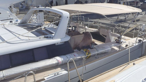 Sailboat Bimini top - Sense 50 - KAPELL ANNAT - cockpit / stainless steel frame / beige