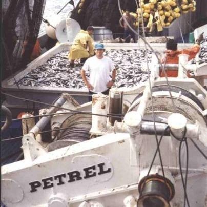 Ship winch - PW-125-LSDA-SF3+3(B45) - Petrel International - purse seine / hydraulic drive / waterfall