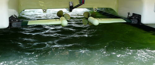 Boat propulsion system - African Cats - with hydrogenerator / retractable / electric