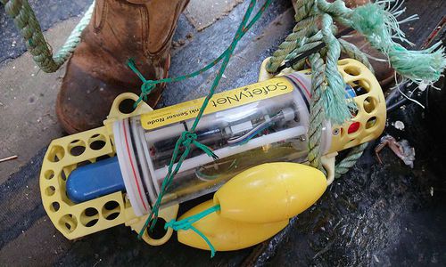 Depth transducer - Enki - SafetyNet Technologies - acoustic / temperature / motion